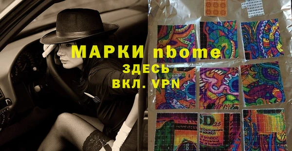 гашик Новодвинск