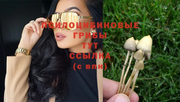 гашик Новодвинск