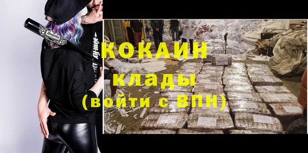 гашик Новодвинск