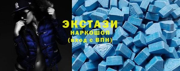 гашик Новодвинск
