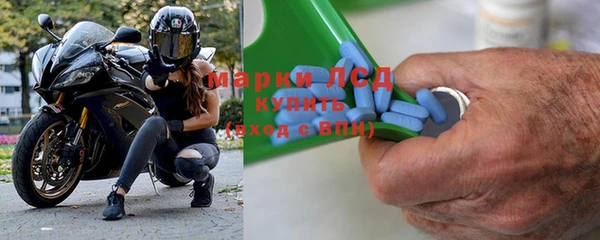 гашик Новодвинск